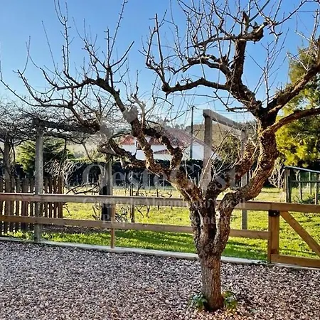 Villas Arneiro I Villa *